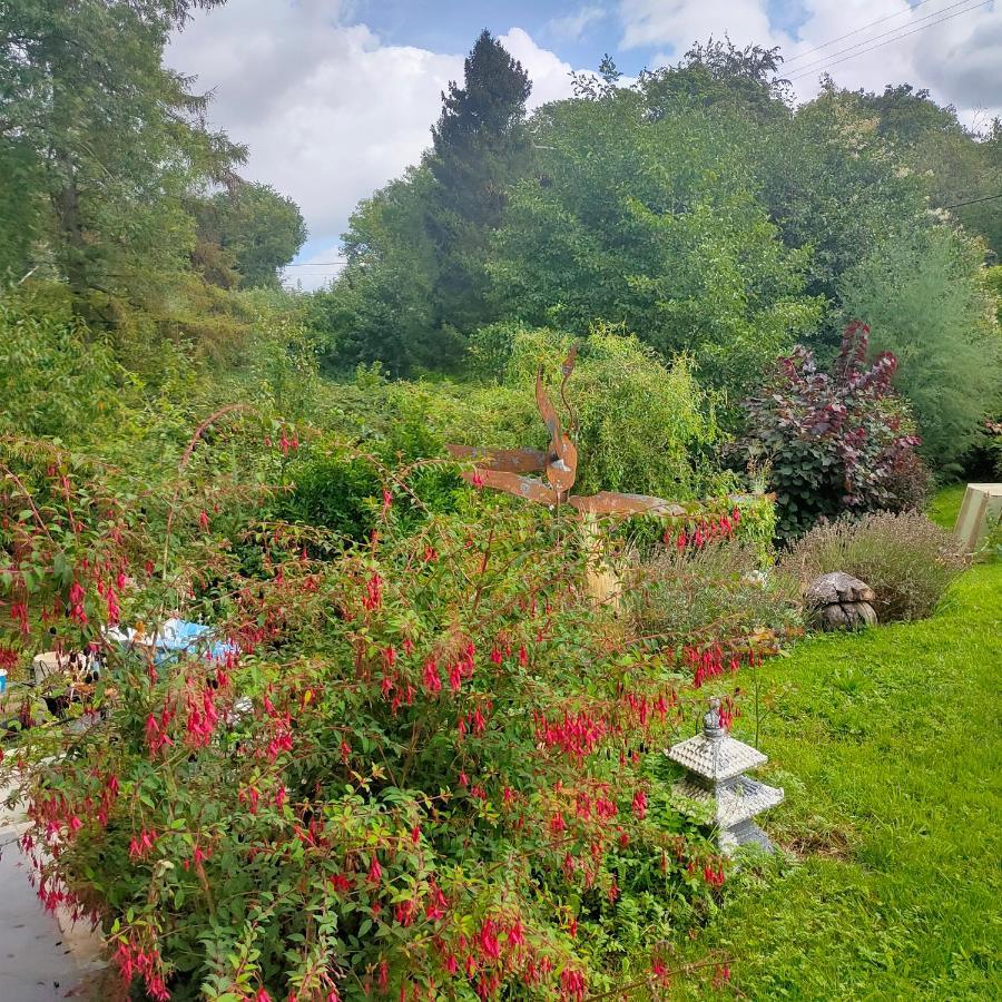 Le Val Du Vieux Chene Chambre D'Hotes Walcourt Exteriör bild