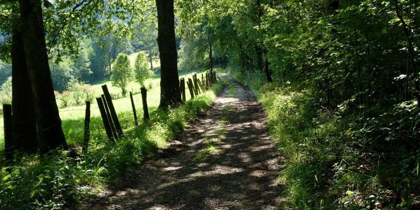 Le Val Du Vieux Chene Chambre D'Hotes Walcourt Exteriör bild